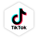 TikTok integration icon