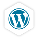 WordPress integration icon