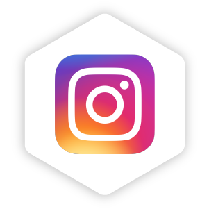 Instagram integration icon
