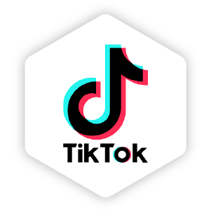 TikTok integration icon
