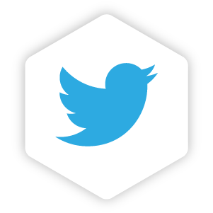 Twitter integration icon