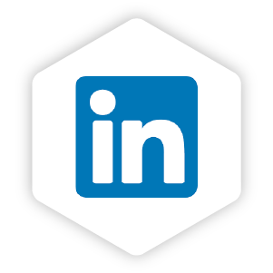 LinkedIn integration icon
