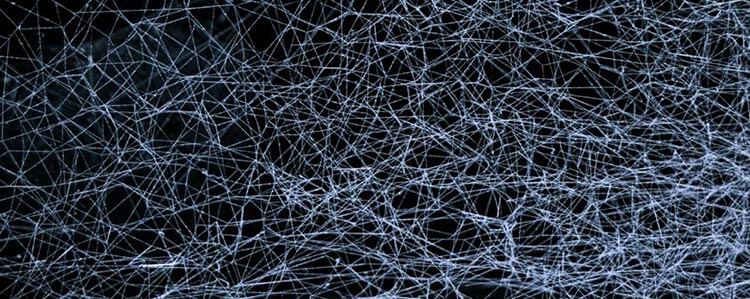 world wide web