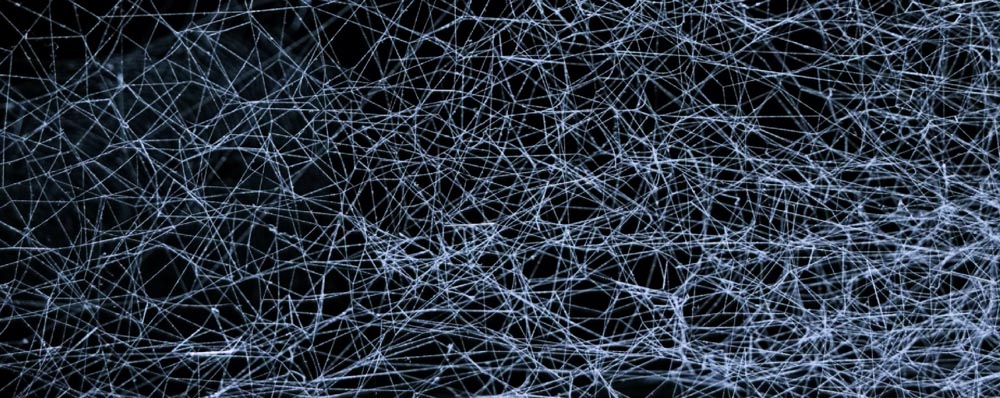 web of networks